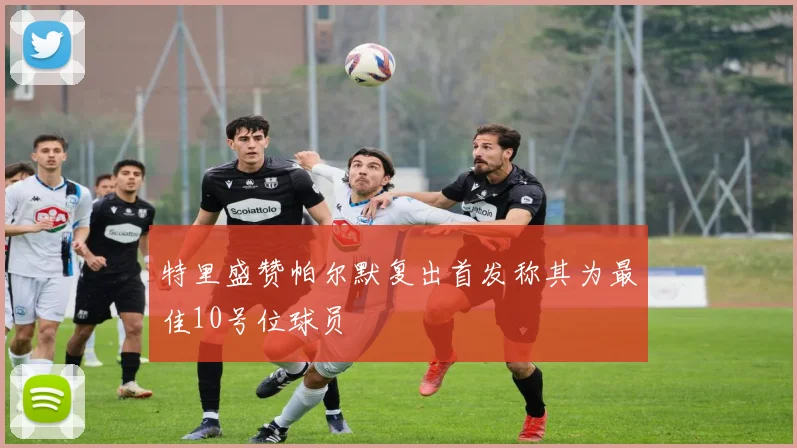 特里盛赞帕尔默复出首发称其为最佳10号位球员