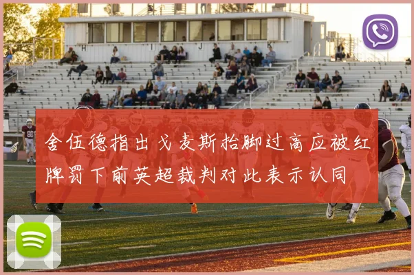 舍伍德指出戈麦斯抬脚过高应被红牌罚下前英超裁判对此表示认同